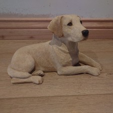Sandicast golden labrador dog - labrador,