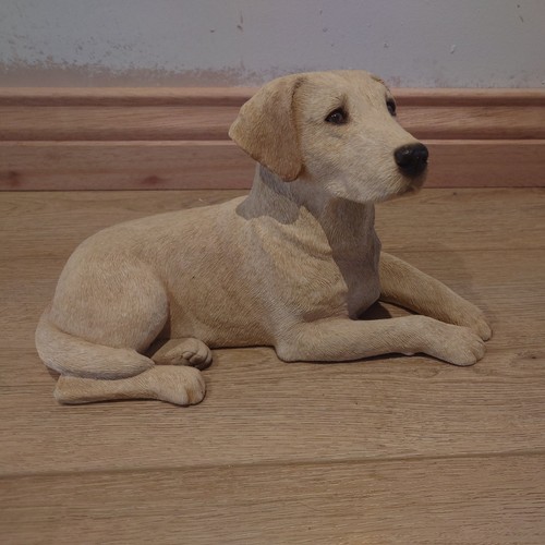 Sandicast golden labrador dog - sandicast,