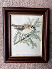 Vintage Framed Print Of A