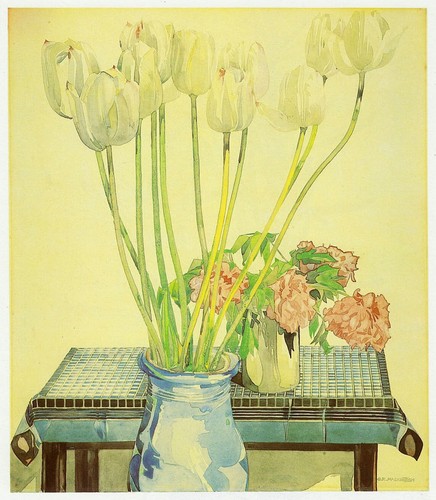 White tulips charles rennie - white, tulips,
