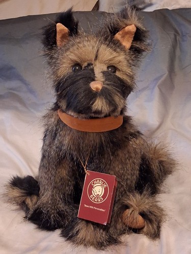 Charlie bears pooch - charlie, ‘pooch’