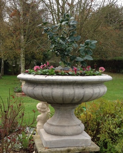 Extra large victorian style - large,