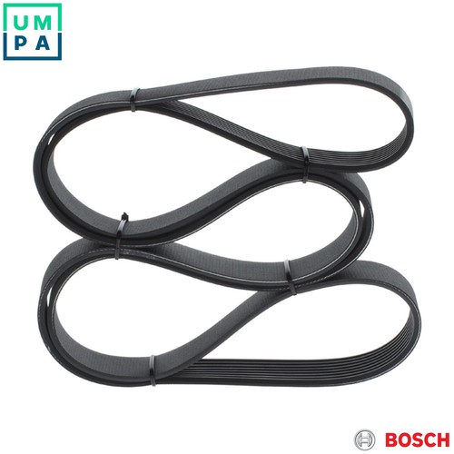 Vribbed belt 987 947 061 - belt,