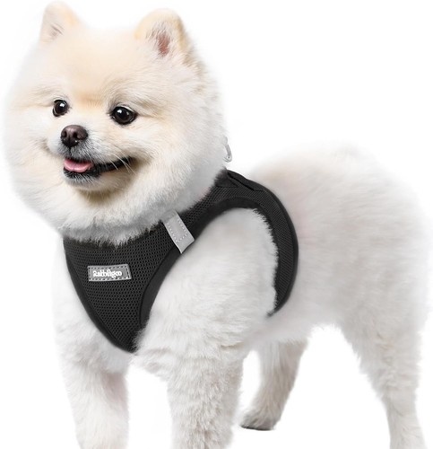 Dog harness small - dog,