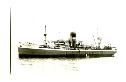 C0433 ellerman cargo ship - -,