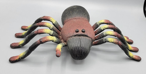 Giant tarantula spider