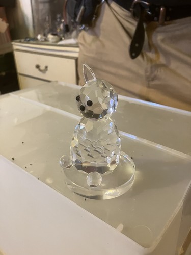 Crystal cat figurine missing - crystal,
