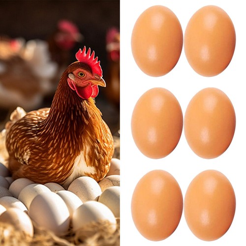Fake wood chicken training - wood, egg