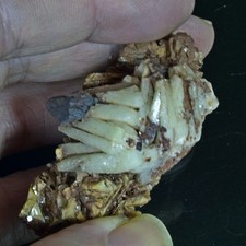 Barite crystals from Mowbray