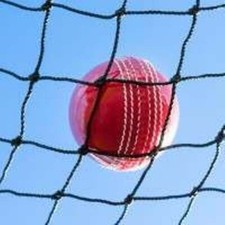 Cricket net 10m ball - 3m, x