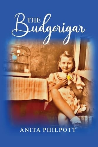 Budgerigar new anita - -,