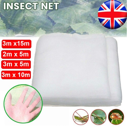 Vegetable plant protection - vegetable,