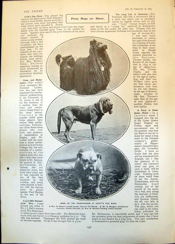 Old prizewinners crufts dog - crufts,