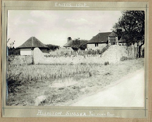 The duck pond alciston - the,
