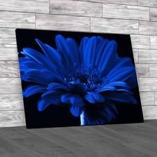 Close Up Gerbera Flower Floral Elegance Blue Canvas Print Large Picture Wall Art