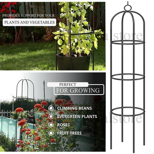 Garden obelisk climbing flower - climbing,