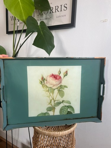 Vintage botanical rose serving - botanical,