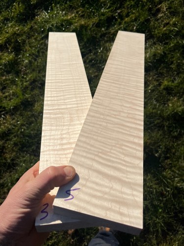 Curly tiger stripe maple - tiger,