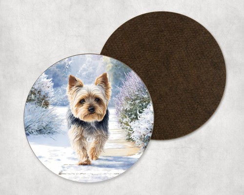 Yorkshire terrier dog - terrier,