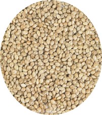 White Millet Seed 10kg 5kg 2kg