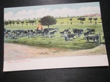 Postcard abbey field - postcard,