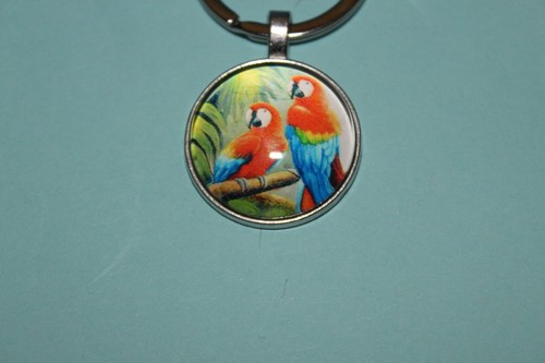Scarlet macaw keyring keychain - scarlet,