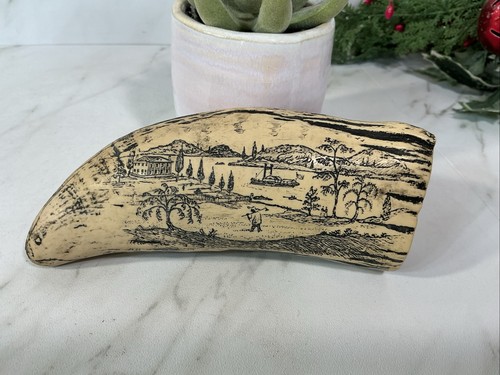 Very nice detailed scrimshaw - very,