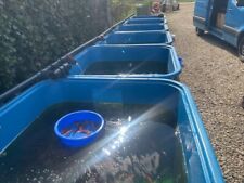 Koi breeding and quarantine tank for sale