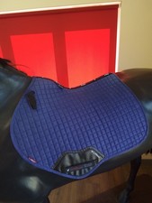 Blue LeMieux Suede Pro Sport