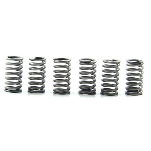 Clutch springs ebc rinf 10 - clutch, +10