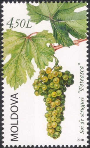 Moldova 2010