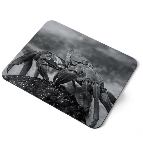 Mouse mat pad rainbow - pad, bw