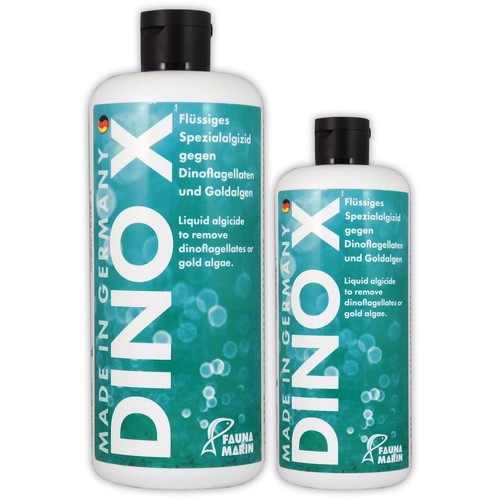 Fauna marin dino - fauna,