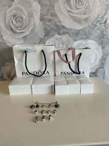 Pandora charms bundle 13 - charms,