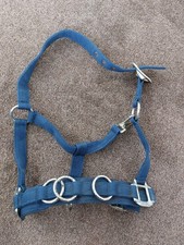 Horse Pony Lunge Cavesson  Padded Training Equestrian