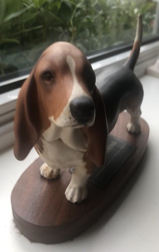 Basset hound connoisseur model - basset,