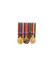Court mounted miniature medal - miniature,