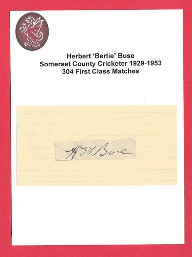 Bertie buse somerset - somerset, ccc