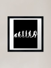 Evolution Of Cricket Framed