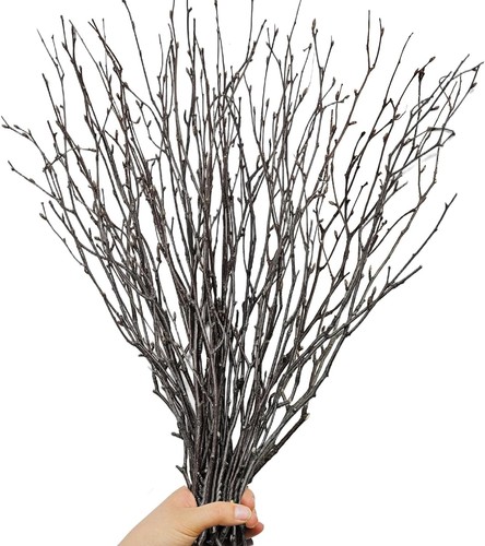 30pcs real dried birch - 30pcs, twigs