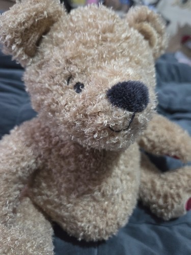 Spencer bear teddy - m&s,