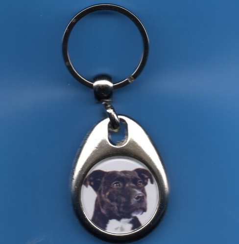 Dog keyring staffordshire - dog,