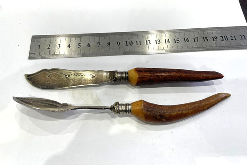 Pair silver plated horn - silver,
