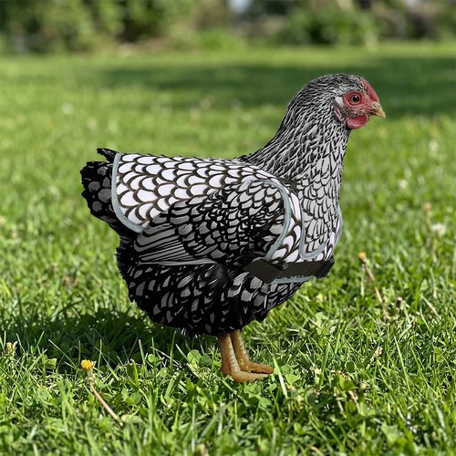3pcs oxford cloth poultry - cloth,