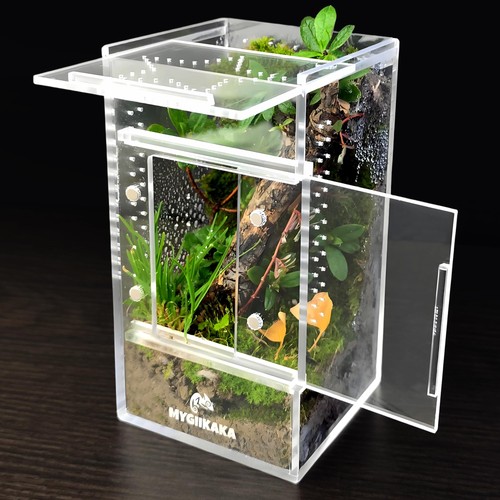 Jumping spider enclosure - jumping,