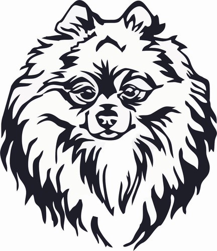 Pomeranian-DOG-Funny-Stickers-