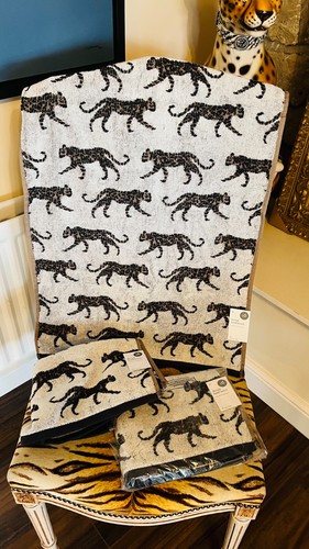 New leopard cheetah animal - leopard,
