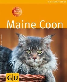 Maine coon plus leser - maine,