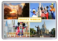 Disney World, Florida Fridge