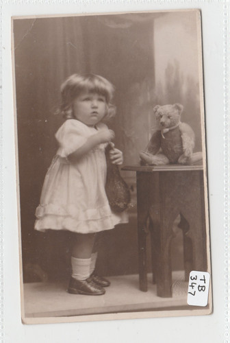 Teddy bear - teddy, (sitting